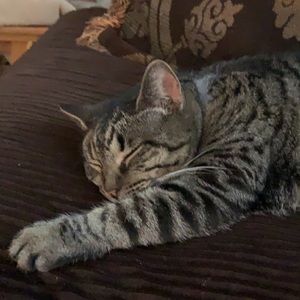 Meet your Posher, Katie